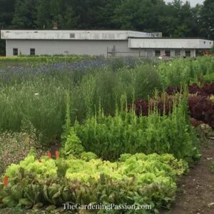 Touring Johnny’s Seed Company