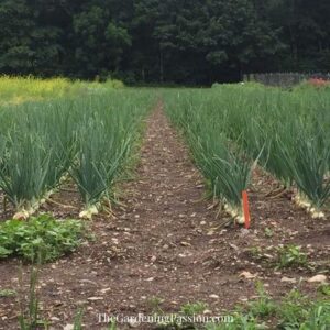 Touring Johnny’s Seed Company