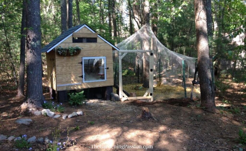 How NOT to Build a Chicken Coop