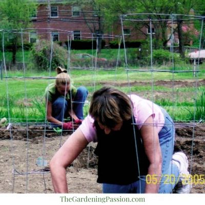 Community Oasis Garden