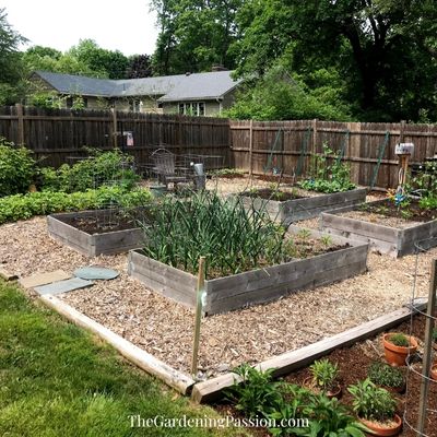 build raised beds