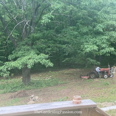 The empty nest garden