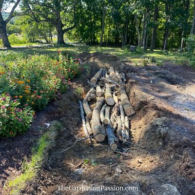 the empty nest garden