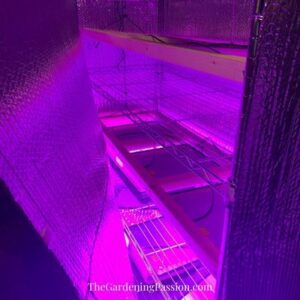 Grow light set-up