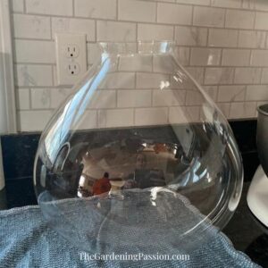 upcycle light fixture into a terrarium