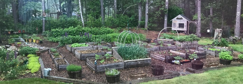 build raised beds