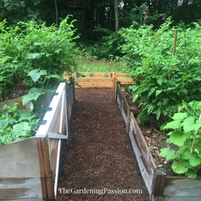 build raised beds