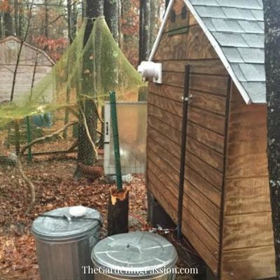 Chicken Coop Gadgets