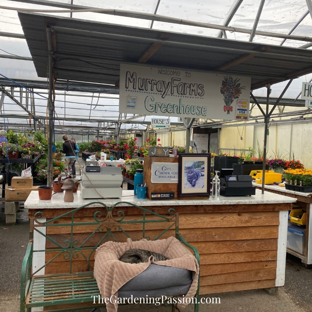 Murray Farms Greenhouse